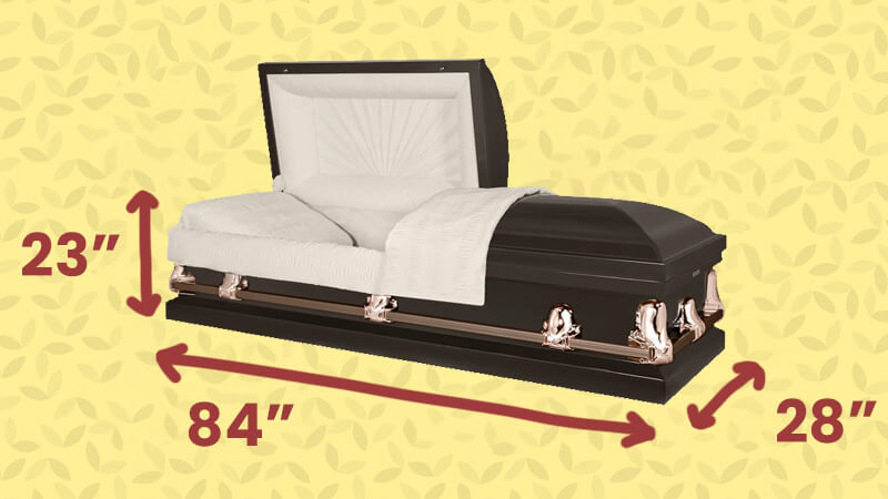 standard casket dimensions infographic showing casket overlayed with usual measurements of width, height, and length