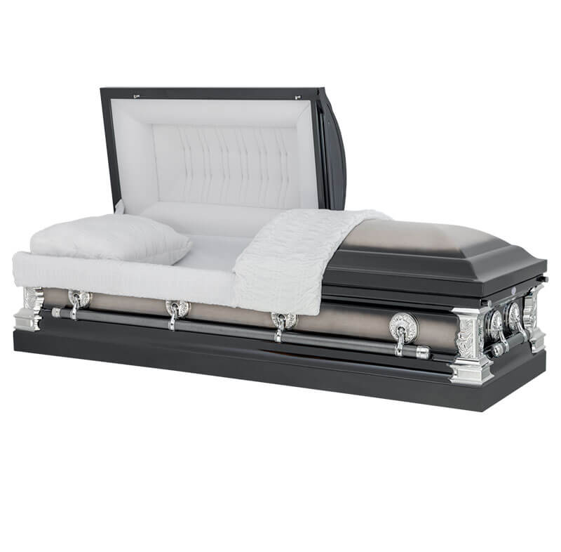 statesmen stainless steel casket price example