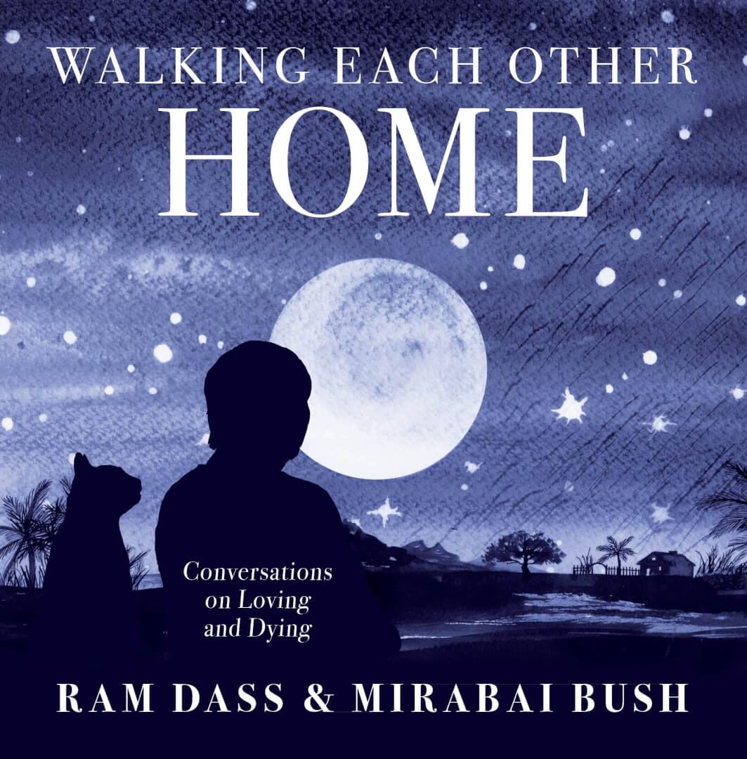 walking each other home book cover