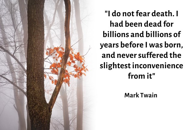 mark twain i do not fear death quote on tree background