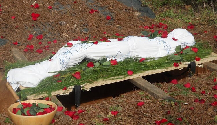 Shroud Burial in Nature With Red Petals