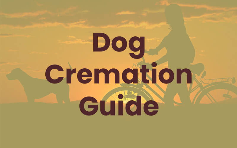 dog cremation guide header image