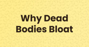 why dead bodies bloat header image
